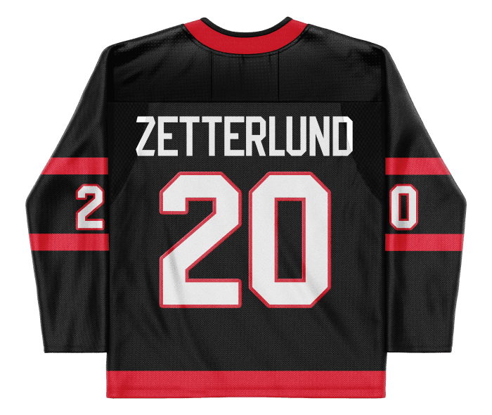 Fabian Zetterlund