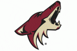 coyotes