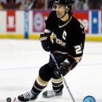 niedermayer