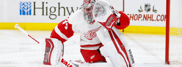 Red Wings' Jimmy Howard out 2-4 weeks