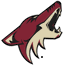 Phoenix Coyotes