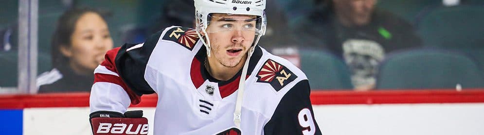 2018-19 Season Preview: Arizona Coyotes