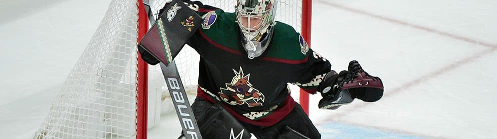 2020 Fantasy Hockey Season Preview: Arizona Coyotes