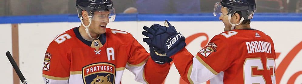 2020 Fantasy Hockey Season Preview: Florida Panthers