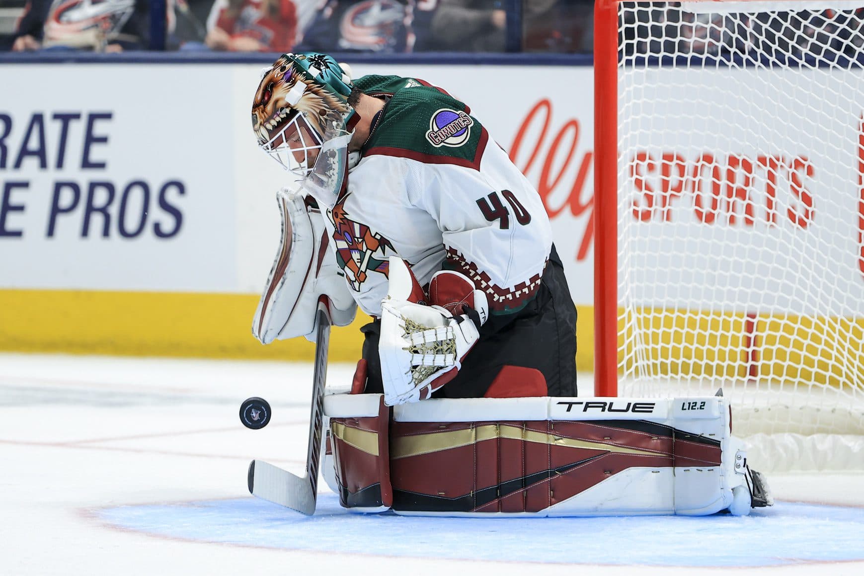 Yes, It's Perfectly Fine to Wear a Coyotes Hockey Sweater in