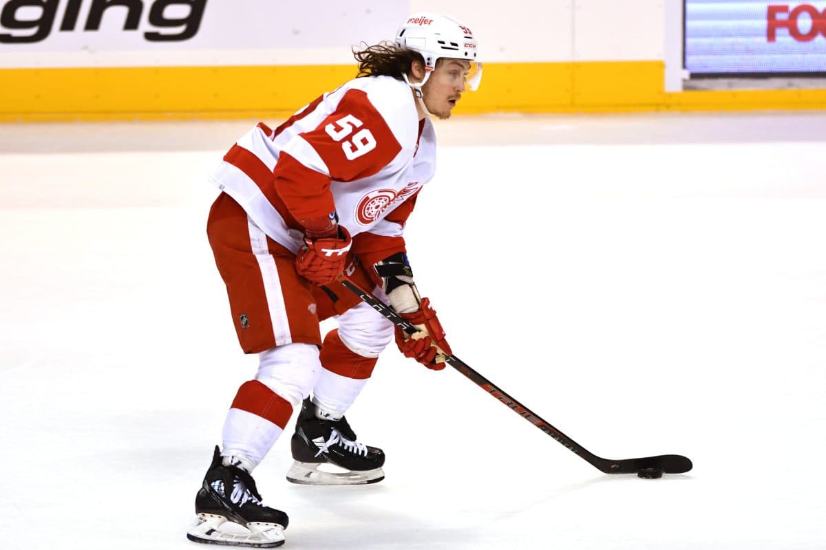 Detroit Red Wings Forward Suffers Upper-Body Injury