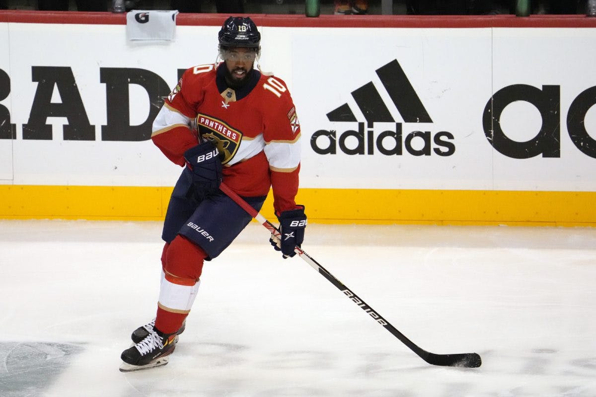 Florida Panthers activate Anthony Duclair off LTIR, Bennett and Barkov day to day