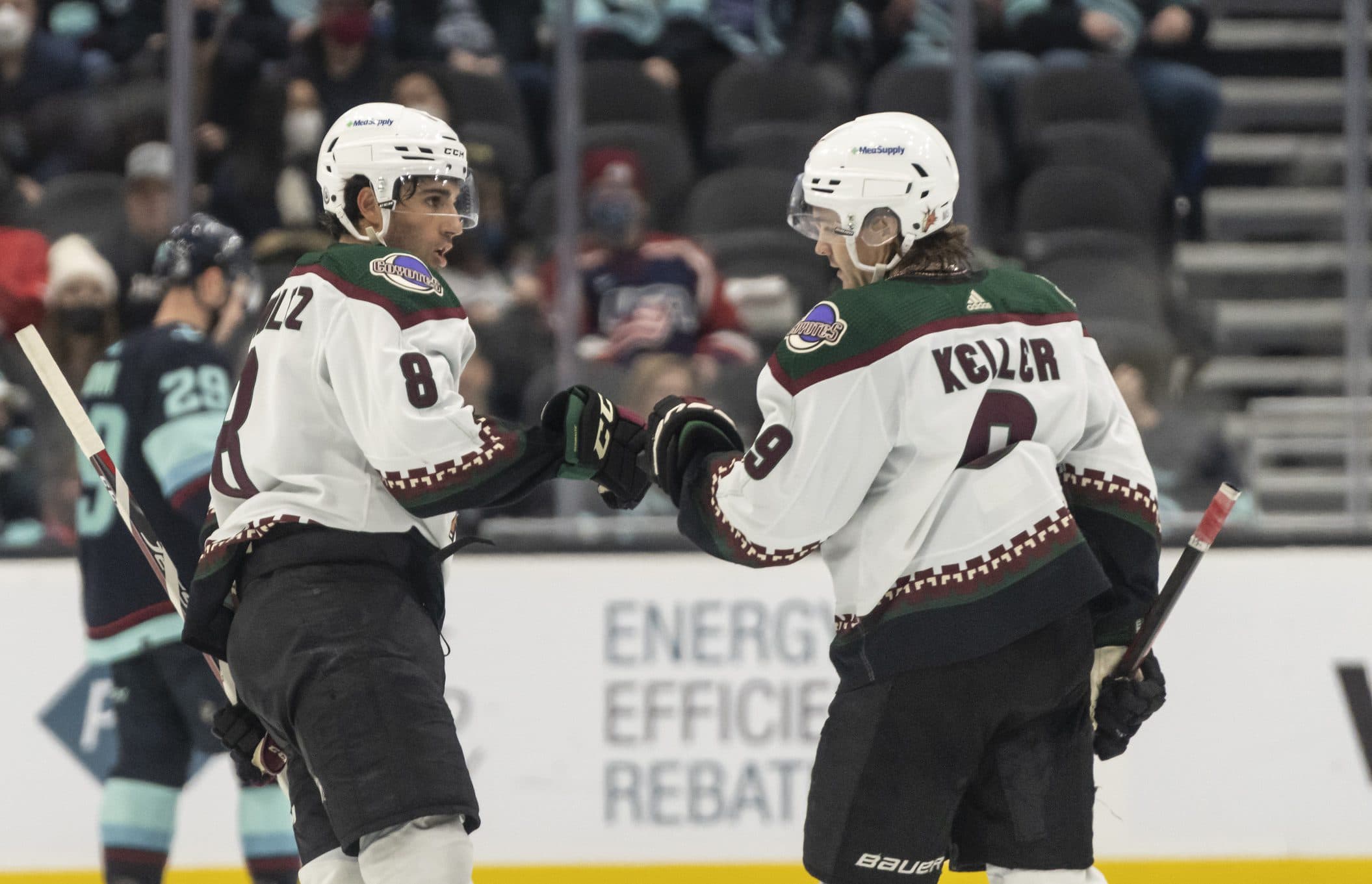 Loui Eriksson of the Arizona Coyotes celebrates his goal with