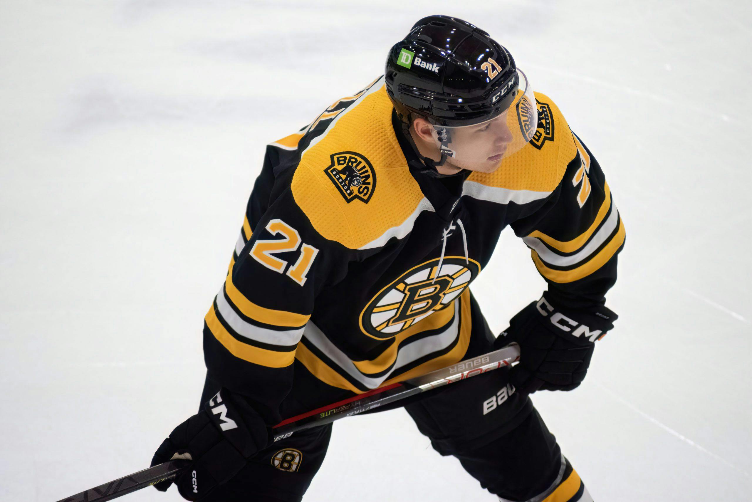 2023-24 NHL Prospect Pool Breakdown: Boston Bruins