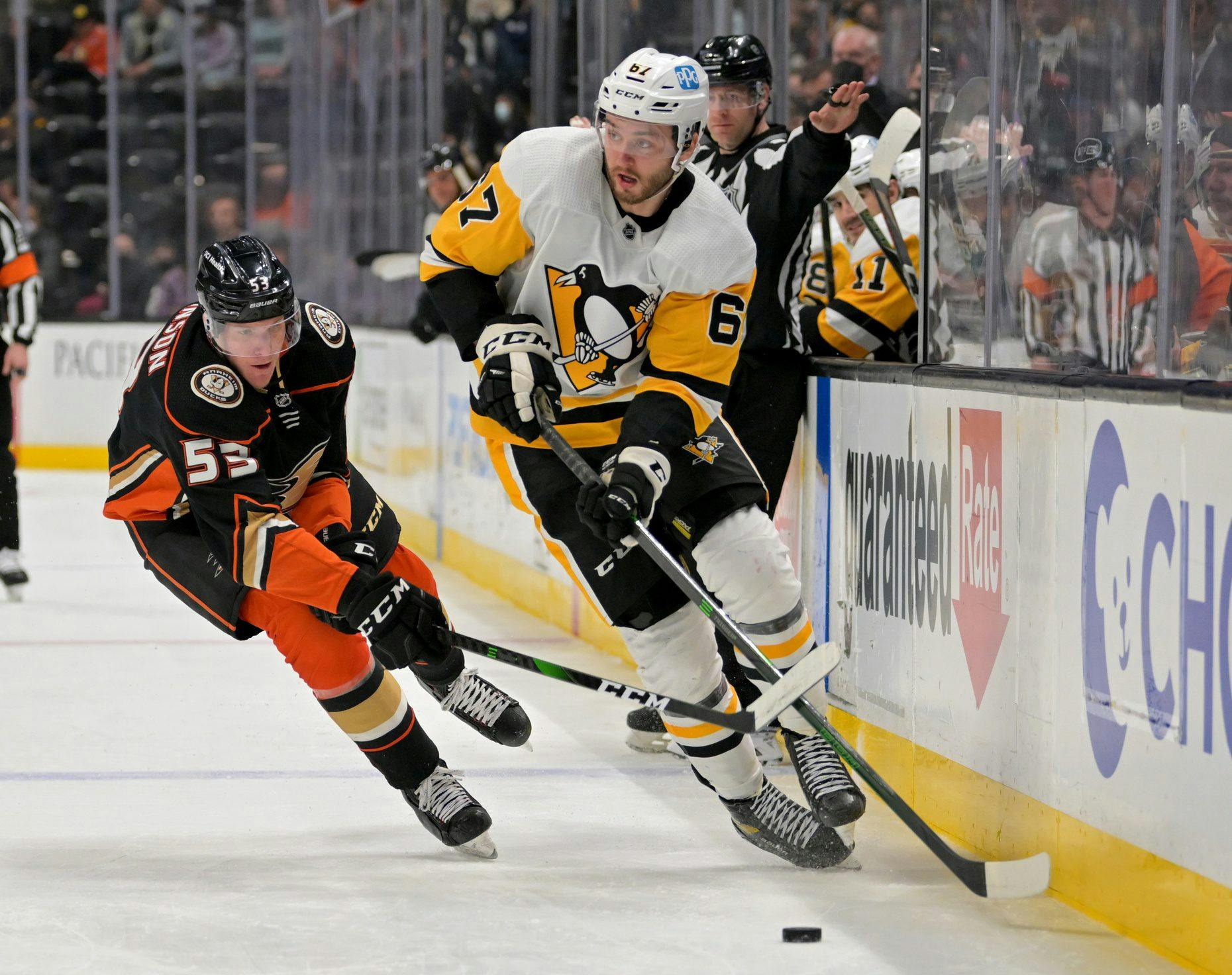 Pittsburgh Penguins place forward Radim Zohorna on waivers