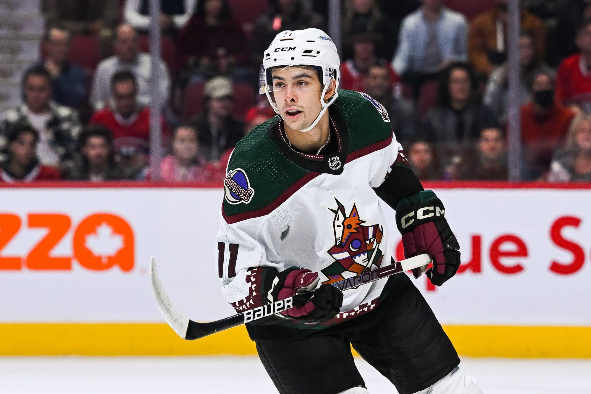 Coyotes F Dylan Guenther assigned to WHL's Seattle Thunderbirds