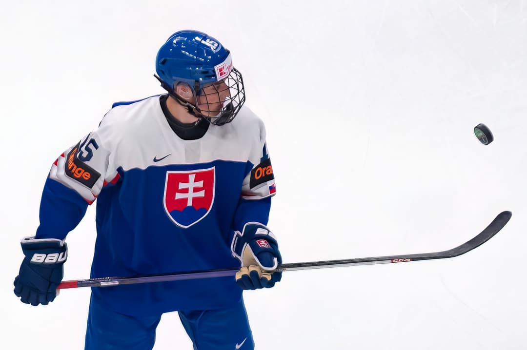 St. Louis Blues draft forward Dalibor Dvorsky No. 10 overall in 2023