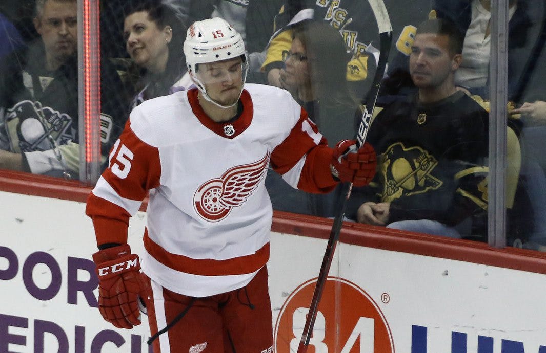 Red Wings' Vrana enters NHL/NHL player assistance program - The