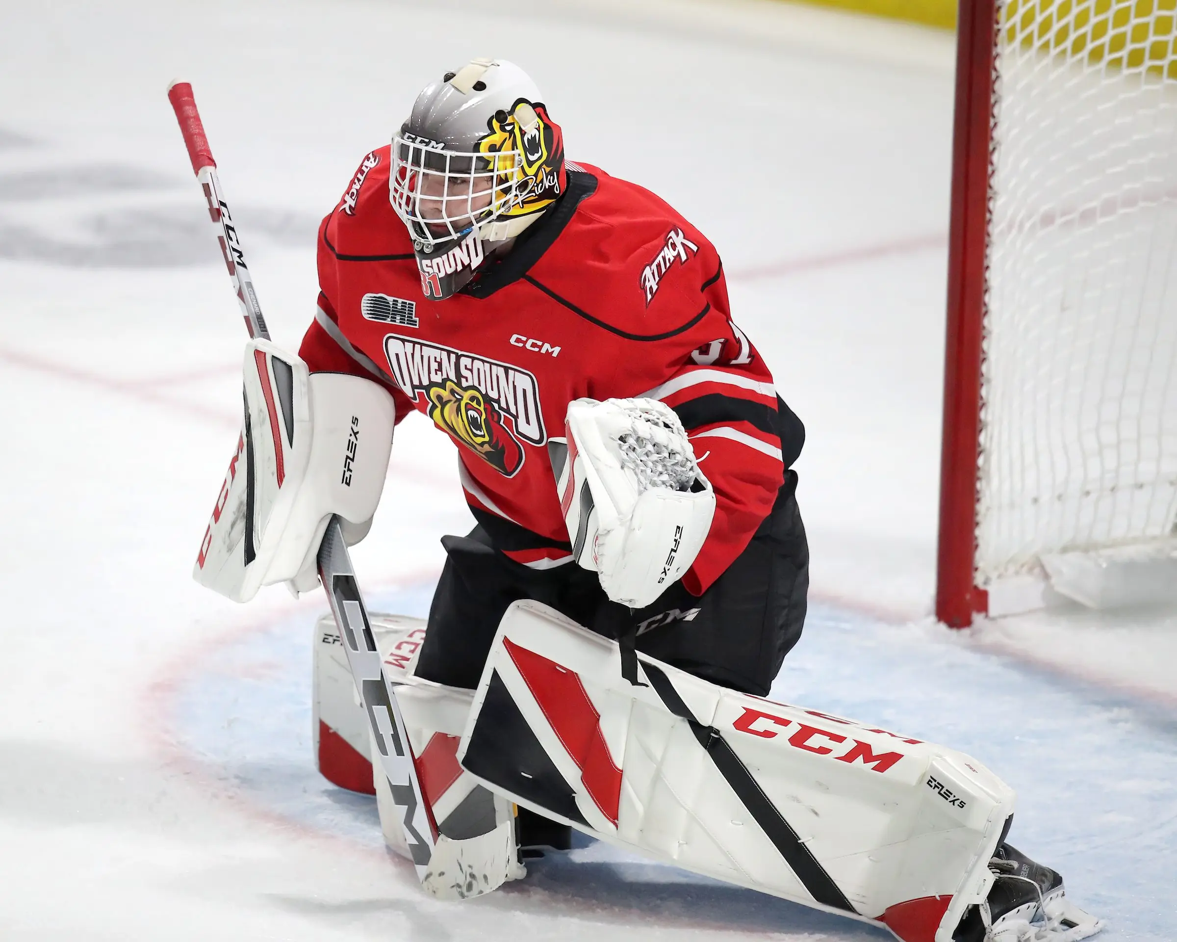 Toronto Maple Leafs sign Nick Chenard to amateur tryout