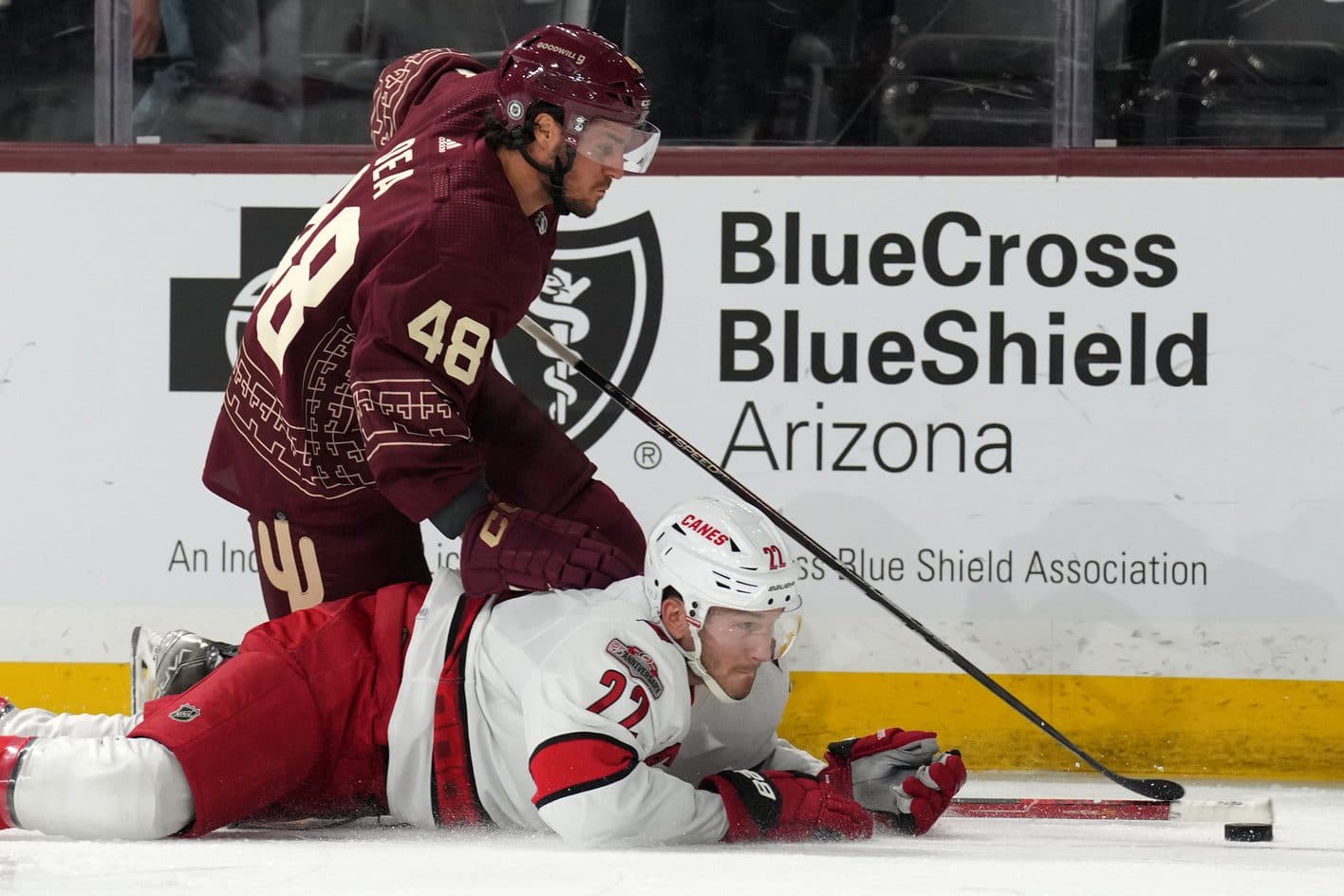 The Arizona Coyotes have Reasons to be Hopeful!