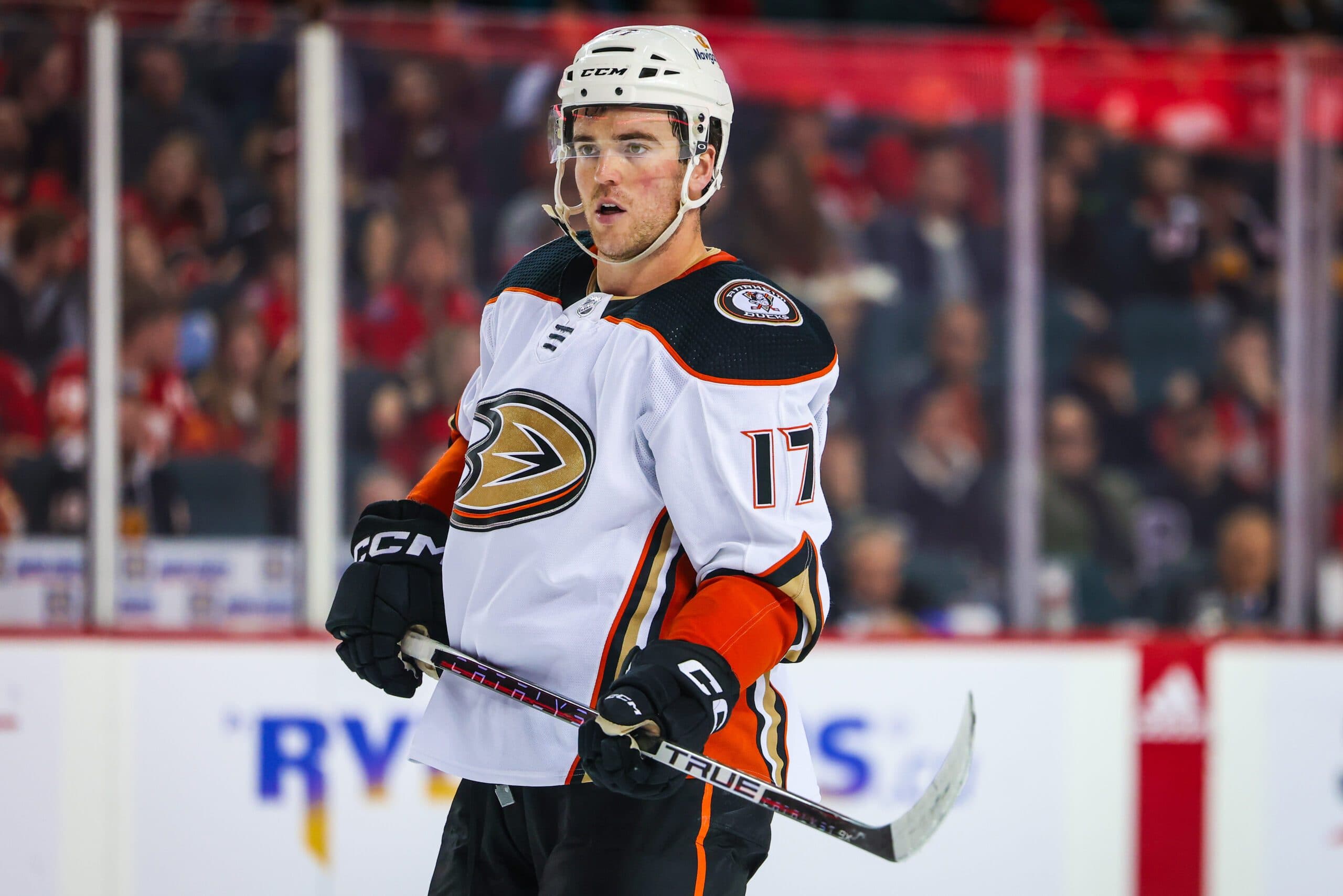 Anaheim Ducks sign Scott Harrington to PTO