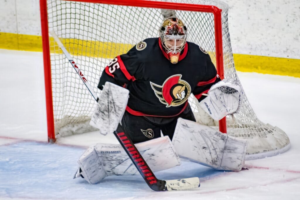 Risers and fallers in the race for the 2024 Vezina Trophy - Daily