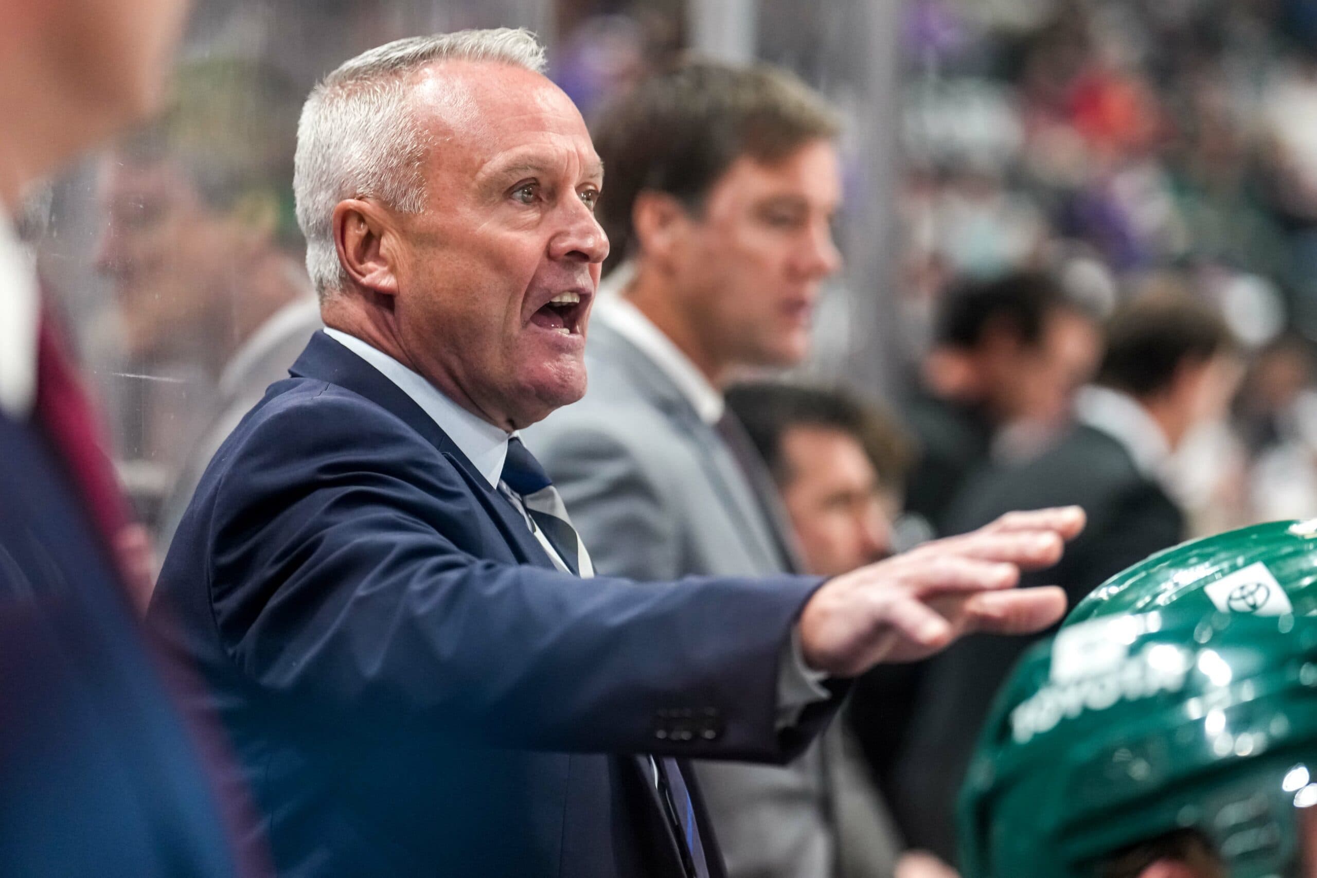 Minnesota Wild fire coach Dean Evason, hire John Hynes