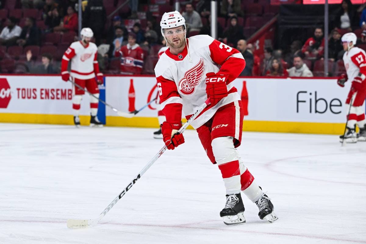 Detroit Red Wings place Christian Fischer on IR, Edvinsson among called up on emergency basis
