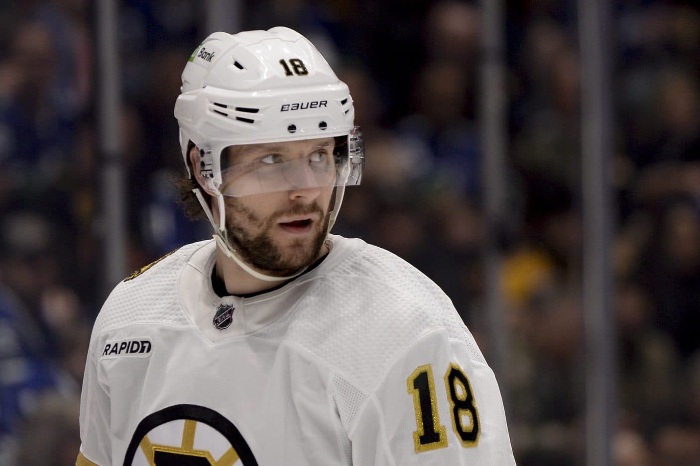Boston Bruins' Pavel Zacha leaves game vs. Islanders with lower-body injury  - Daily Faceoff