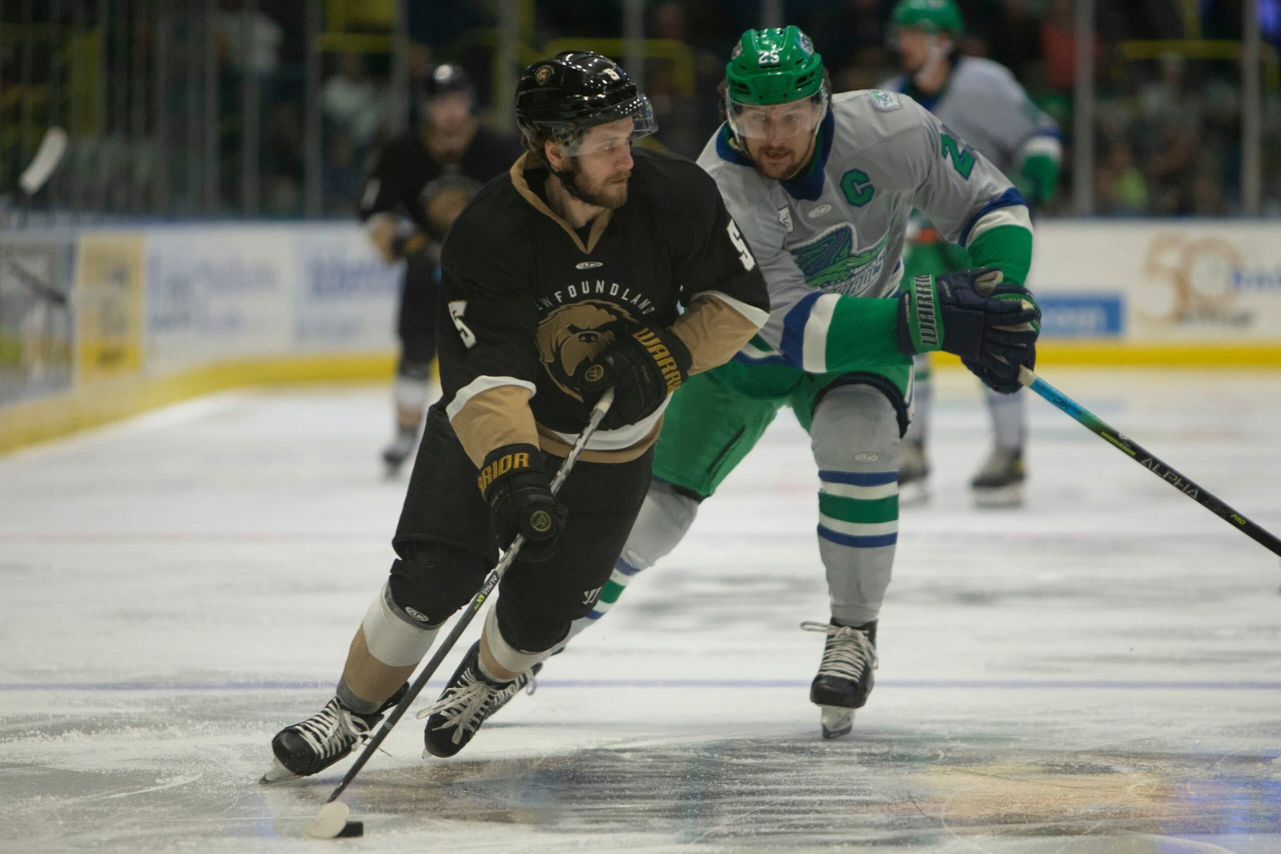 Growlers shutting down is a big loss for Maple Leafs, Newfoundland hockey fans