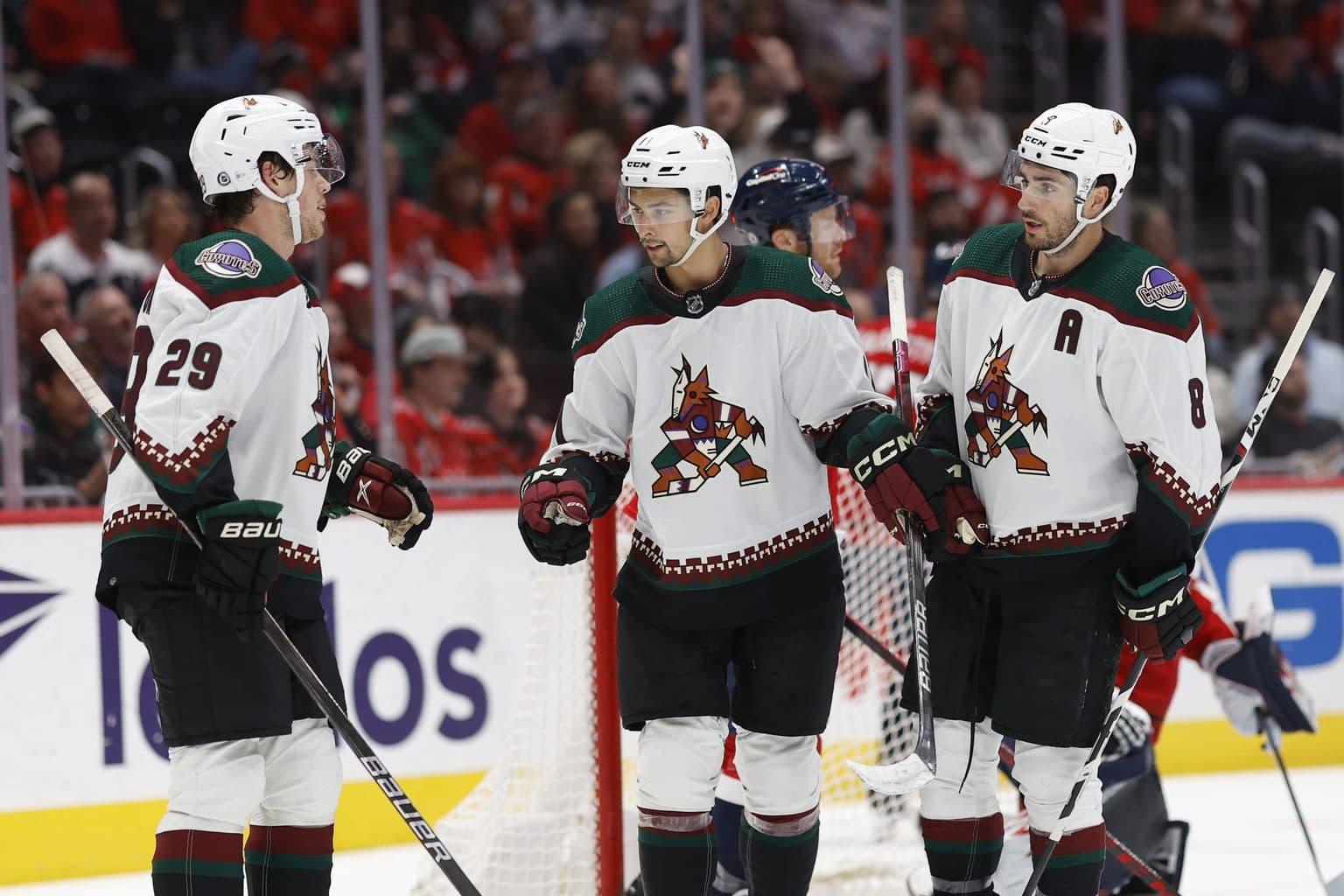 Arizona Coyotes land auction in Phoenix officially scheduled for June 27