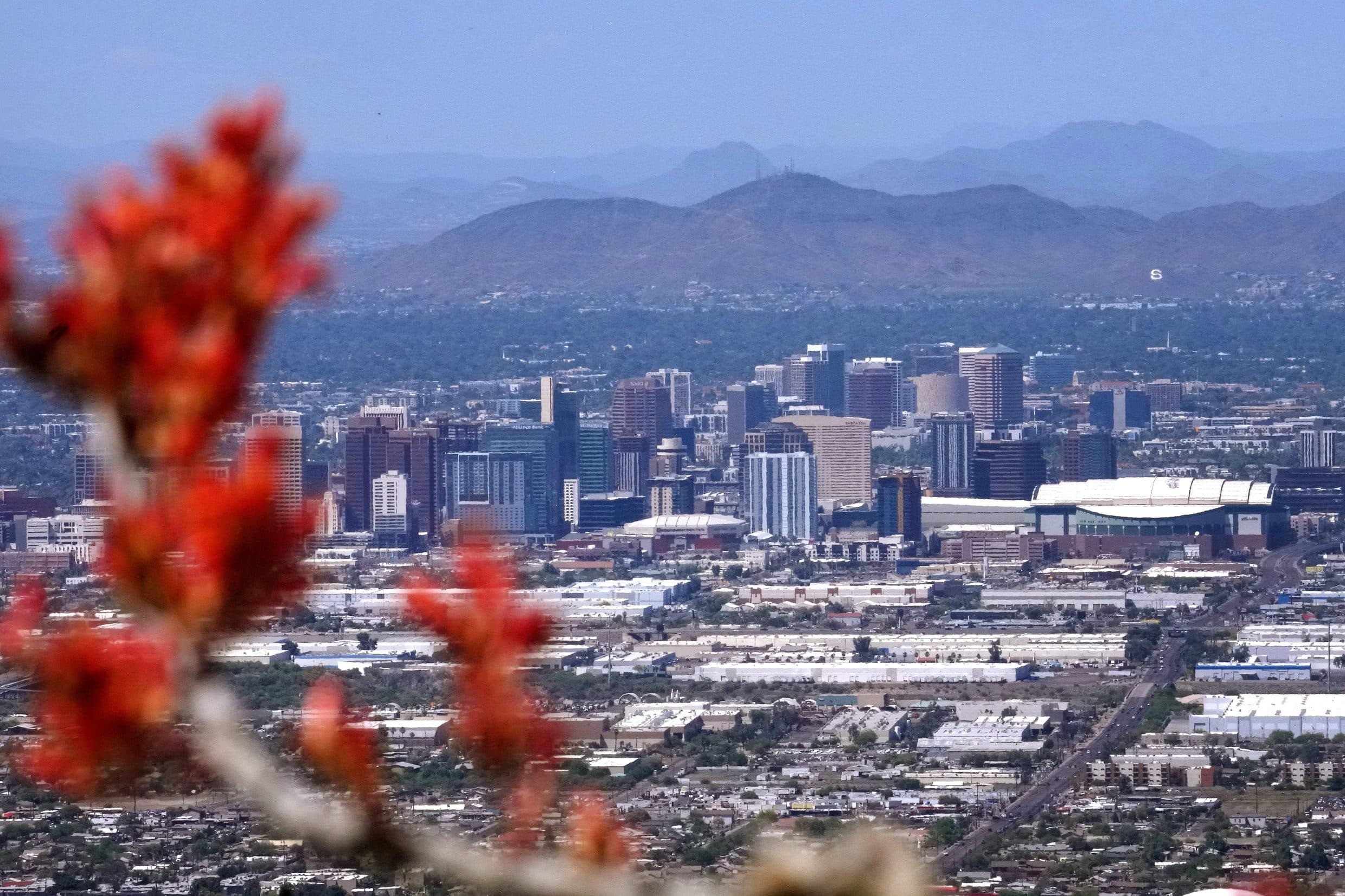 Olympic medalist Lyndsey Fry leading group to preserve amateur hockey in Arizona