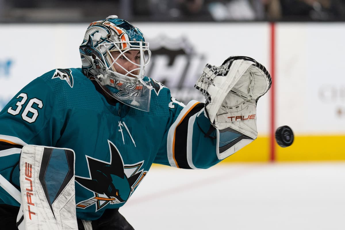 Sawchenko's Two-Way Deal Signals Carolina's Goalie Depth Hedge