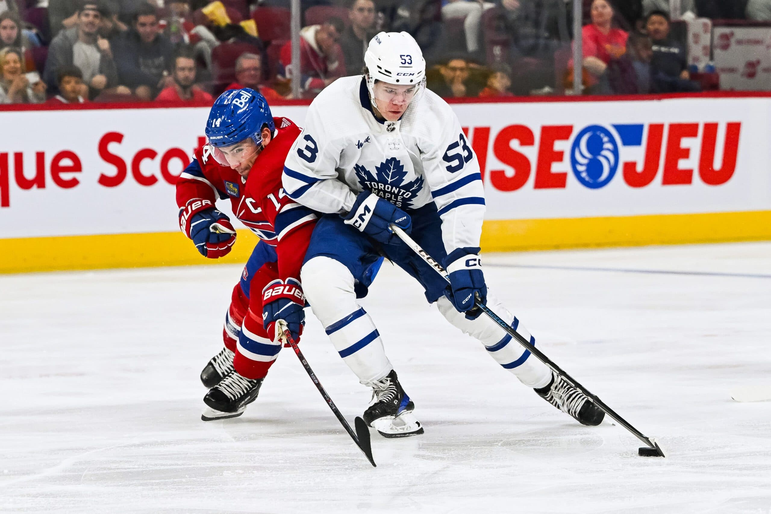 Should Maple Leafs’ Easton Cowan play in the NHL in 2025-26? 