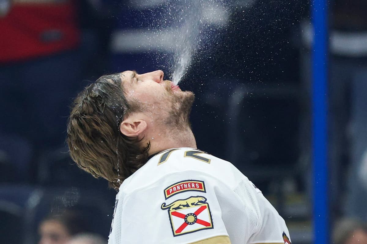 Bobrovsky's Toronto Gamble: Aging Vezina Winner Bets on Contention Window