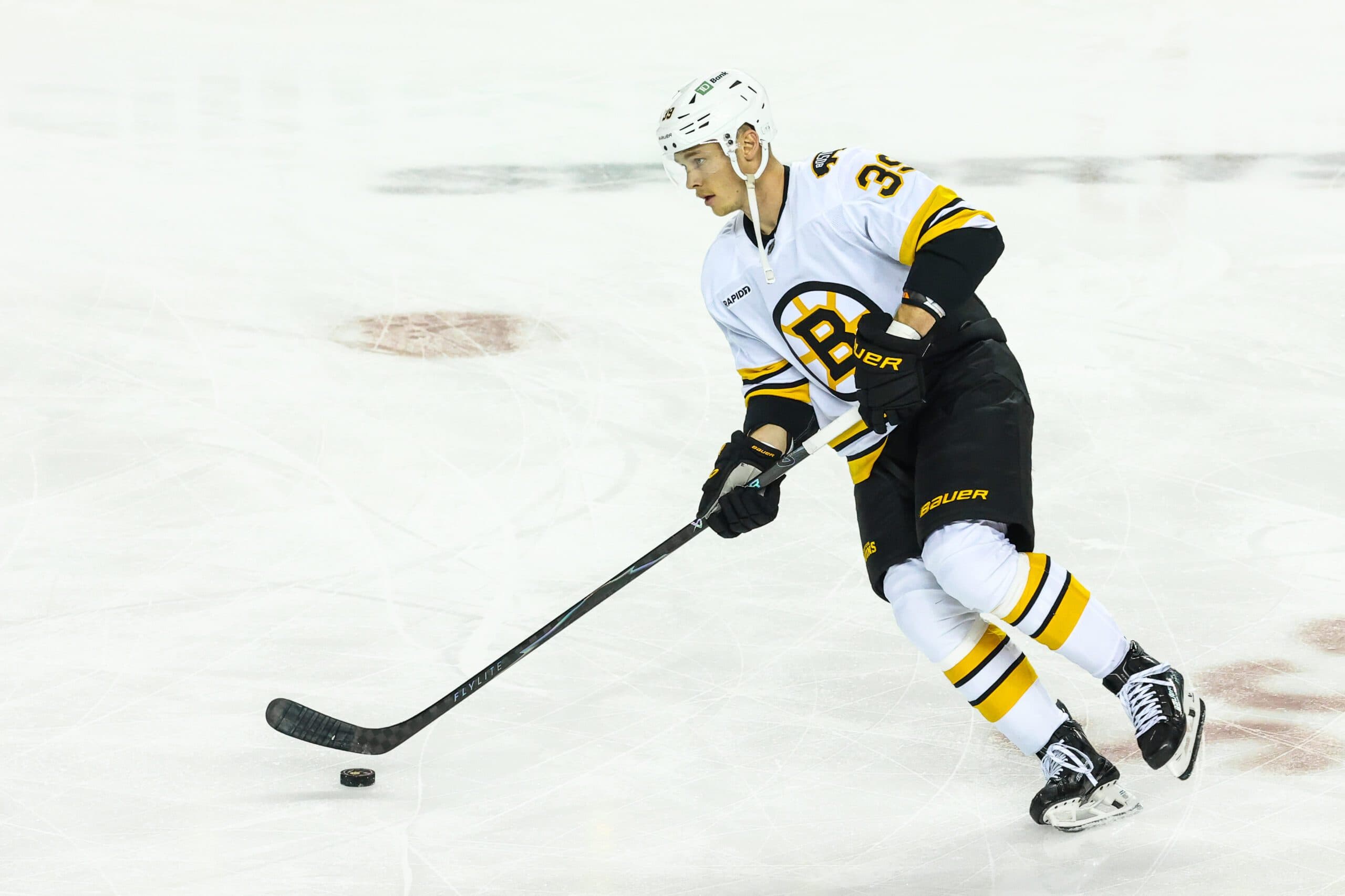 What are the 2025-26 Boston Bruins?