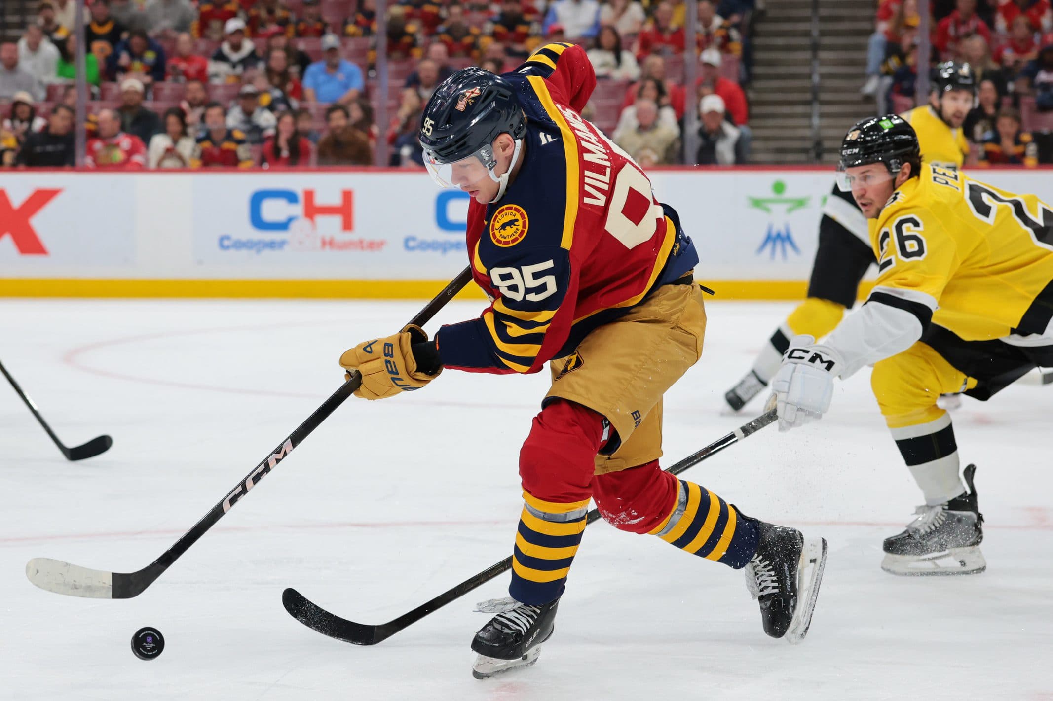 Florida Panthers Sandis Vilmanis