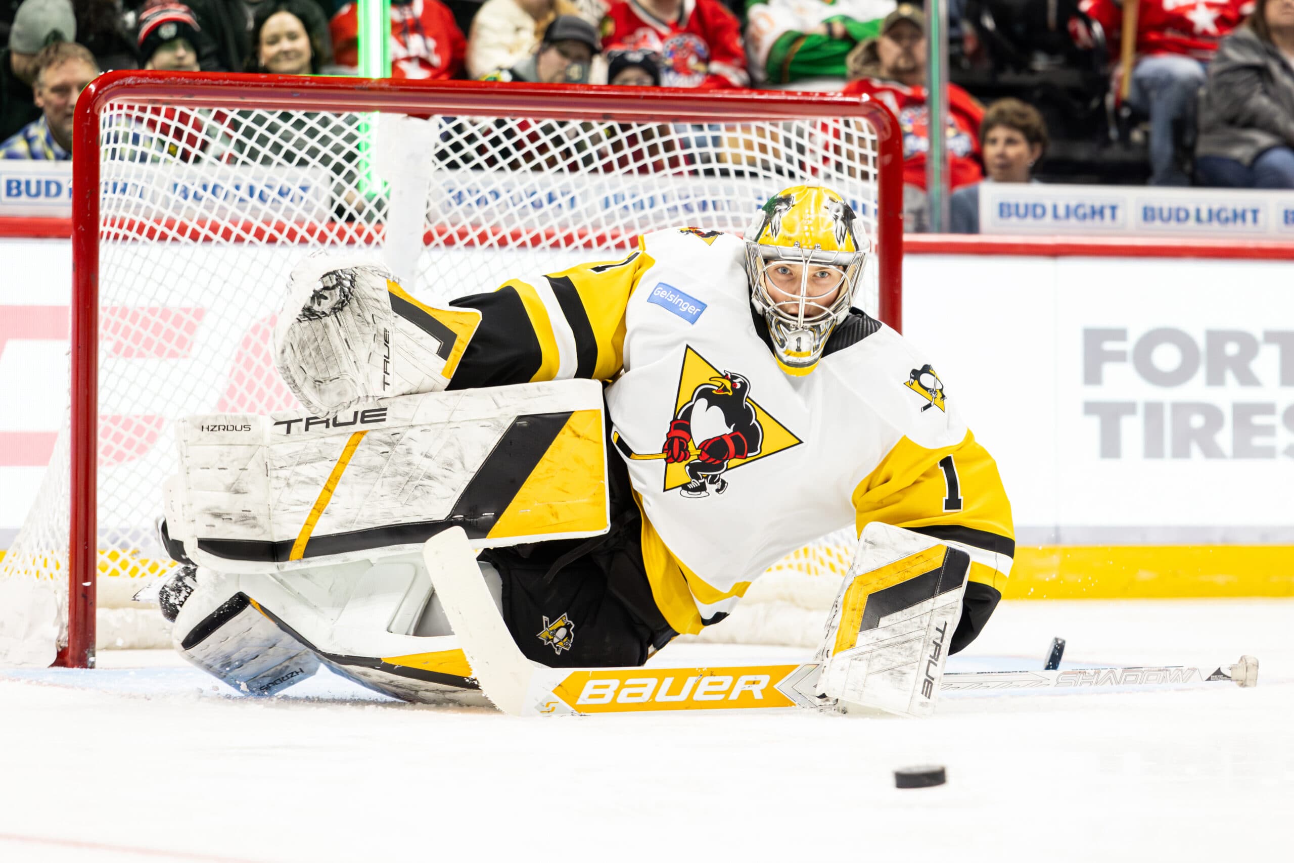 Five NHL goaltending prospects who dominated the AHL in 2025-26