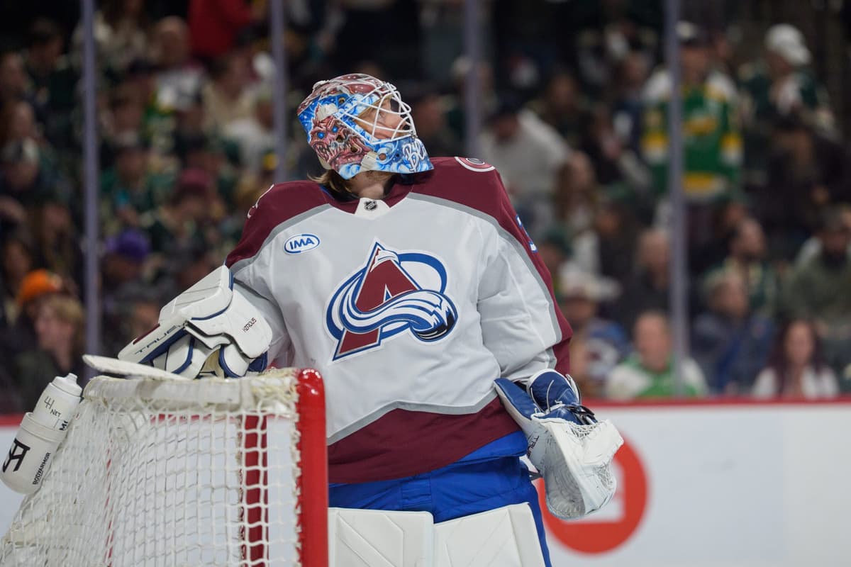 What are the Avalanche’s plans in net?