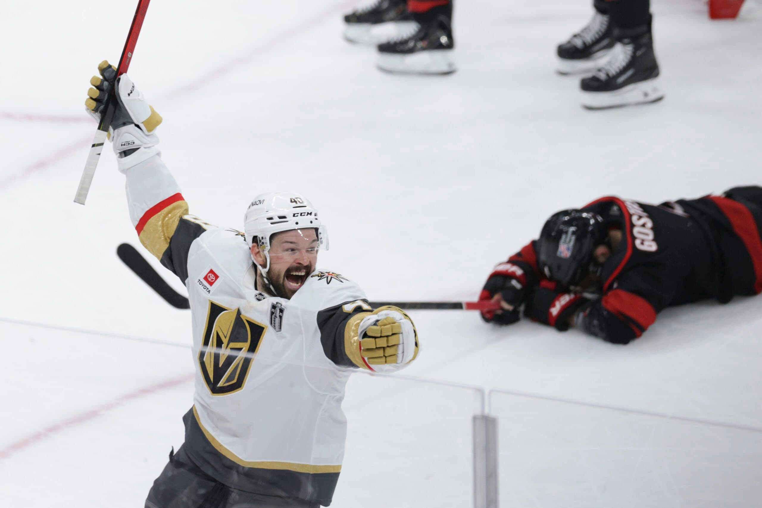 Vegas Golden Knights center Tomas Hertl
