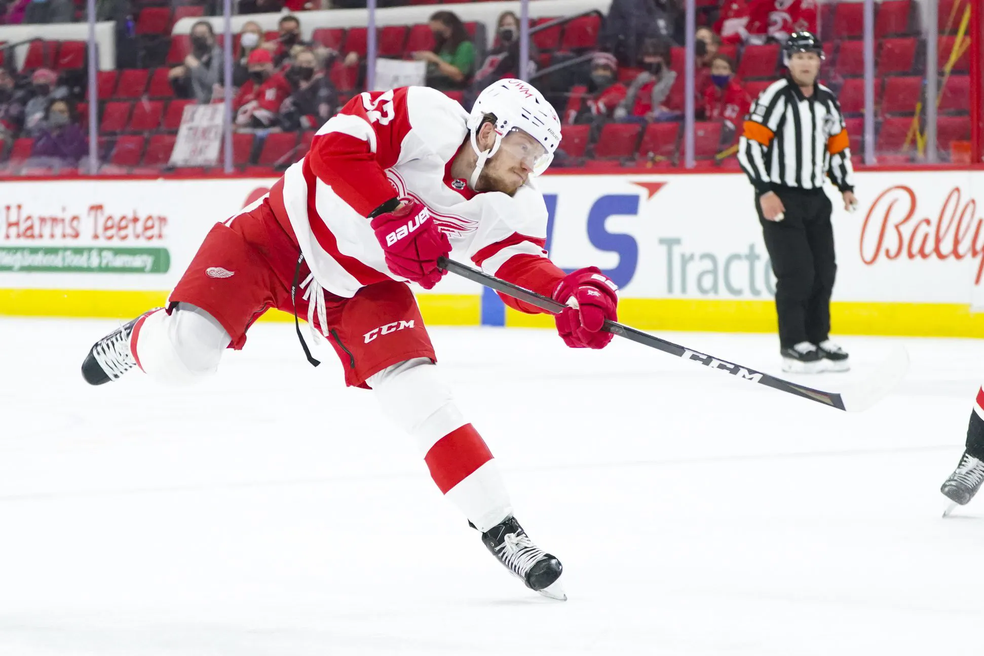 Expansion Draft Preview: Detroit Red Wings