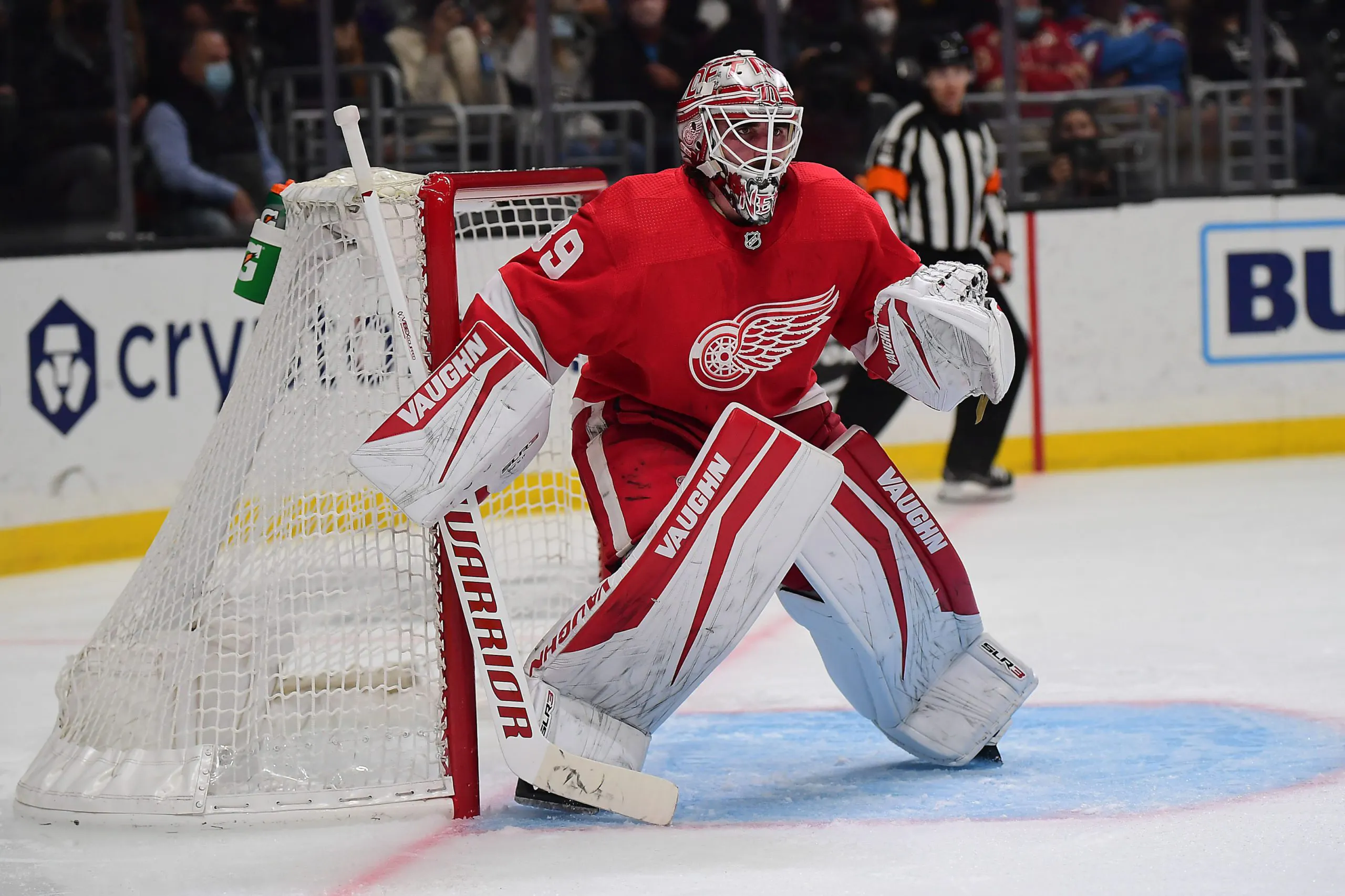 Detroit Red Wings place Alex Nedeljkovic on waivers