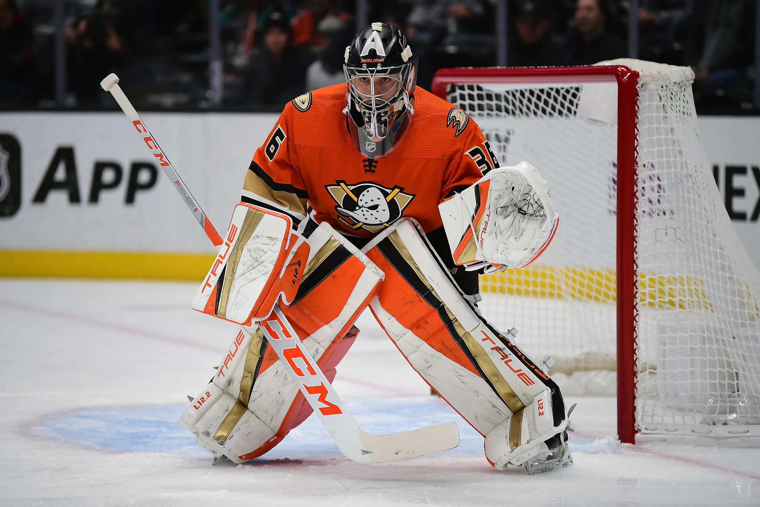 Report: Anaheim Ducks goaltender John Gibson “has absolutely no interest” in playing for the Toronto Maple Leafs