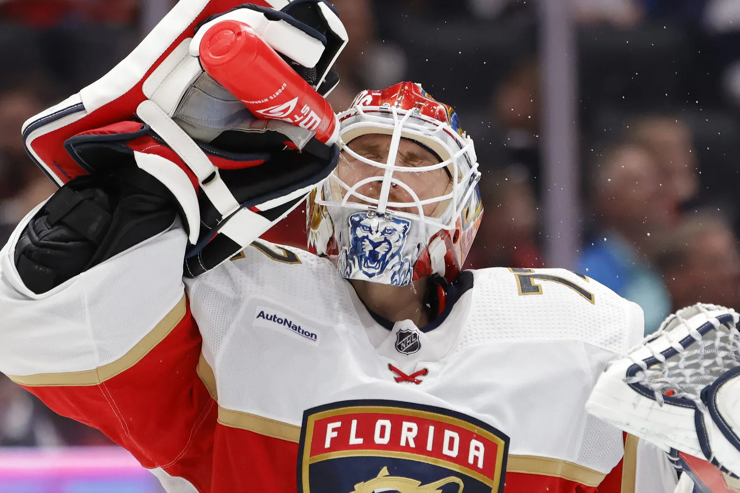 Sergei Bobrovsky is back in form for the Florida Panthers after the All-Star break