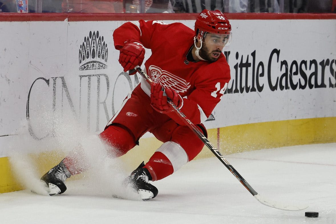 Detroit Red Wings forward Robby Fabbri out for the rest of the season