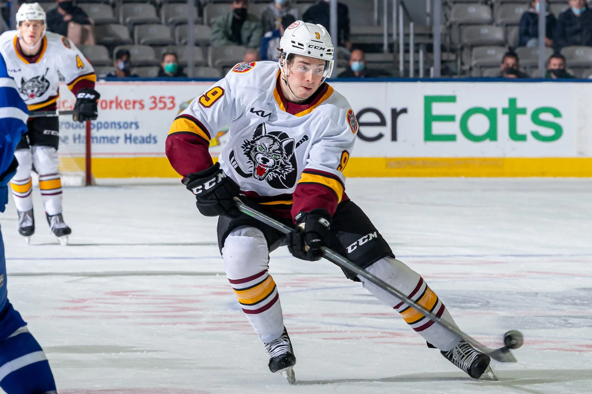 Report: Chicago Wolves to become independent AHL franchise