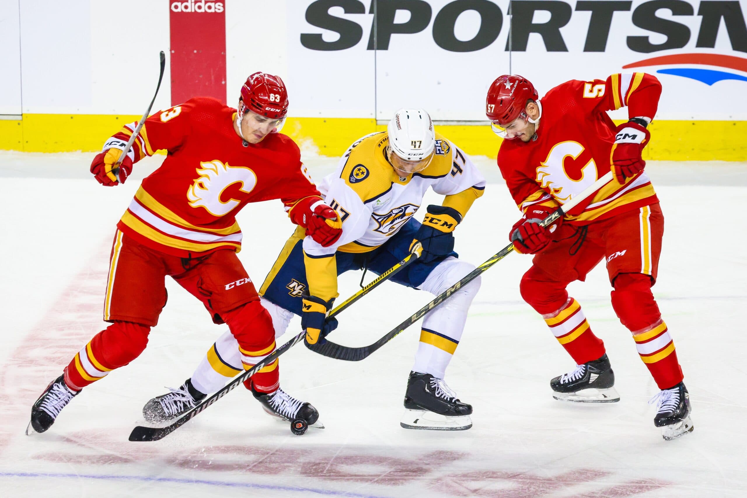 Calgary Flames place Adam Ruzicka and Nick DeSimone on waivers