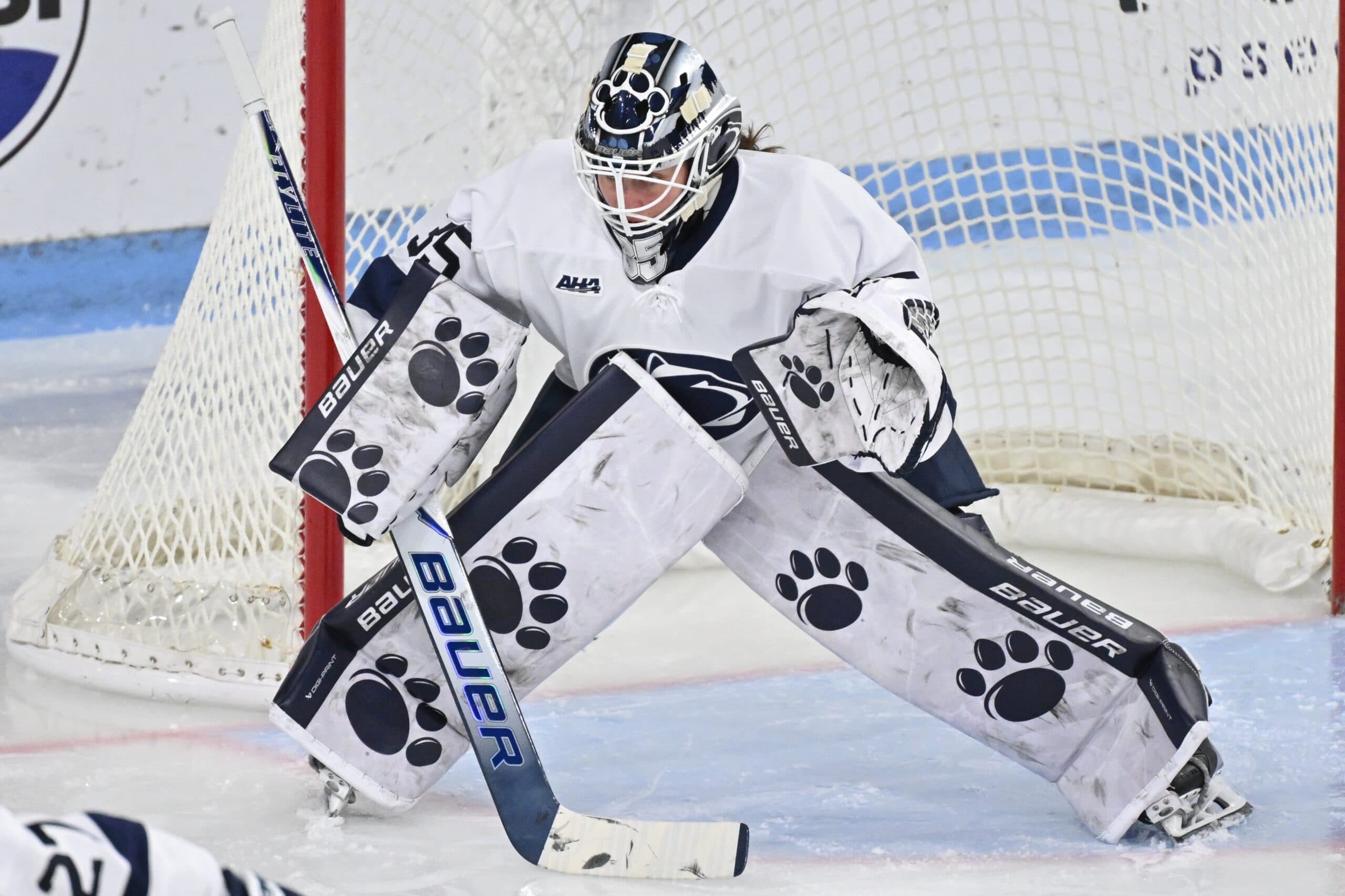 Penn State goaltender Katie DeSa