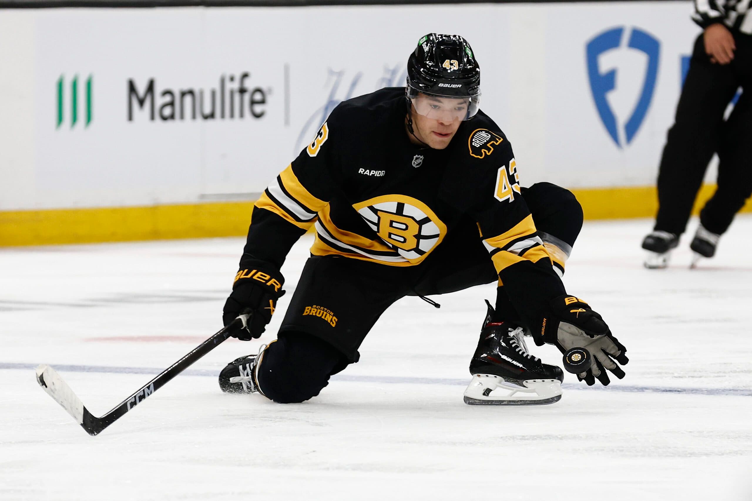 The Bruins were already dealing with the absence of defenseman Hampus Lindholm, who has missed the last six games with a lower-body injury.