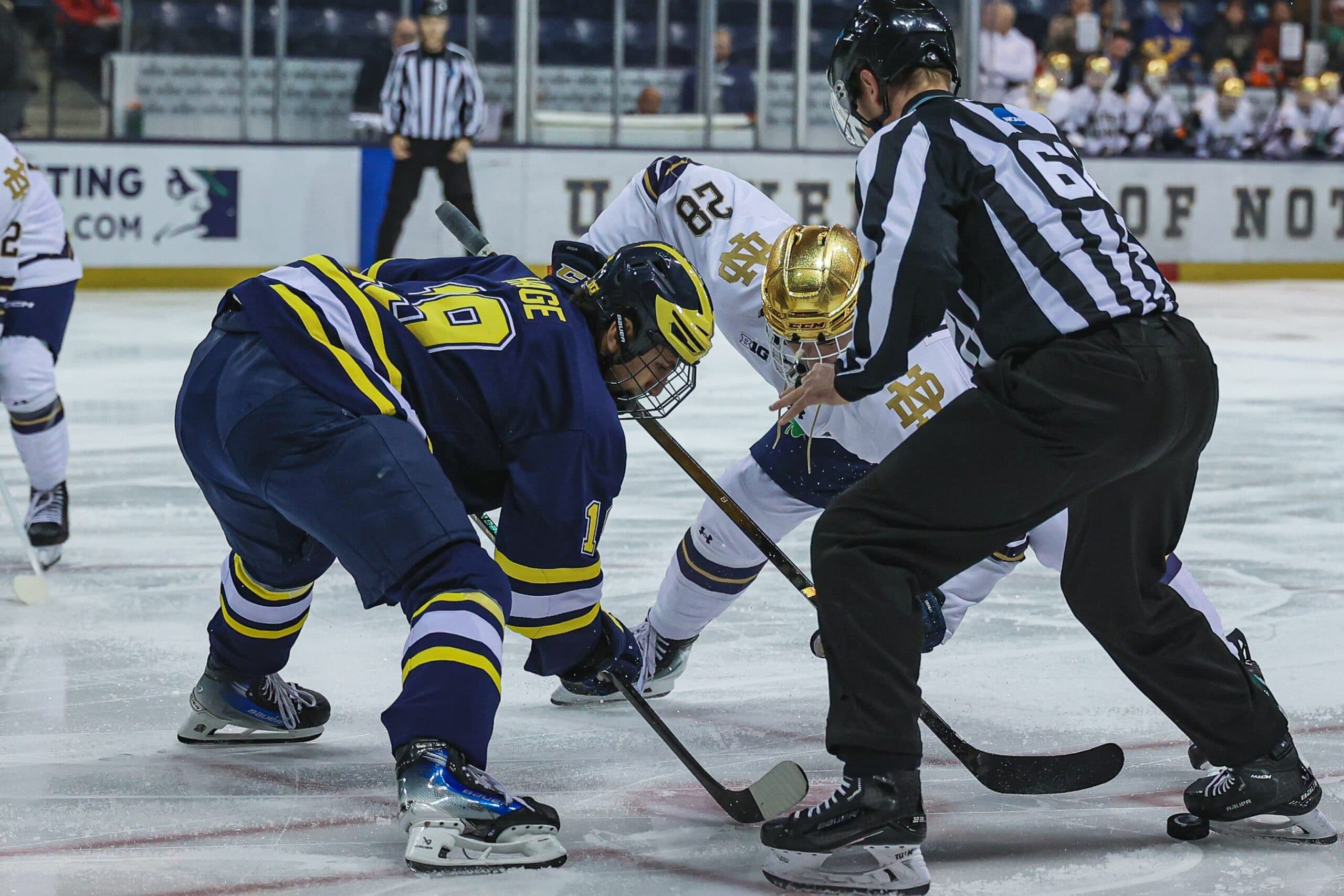 Michigan forward Michael Hage, Notre Dame center Sutter Muzzatti