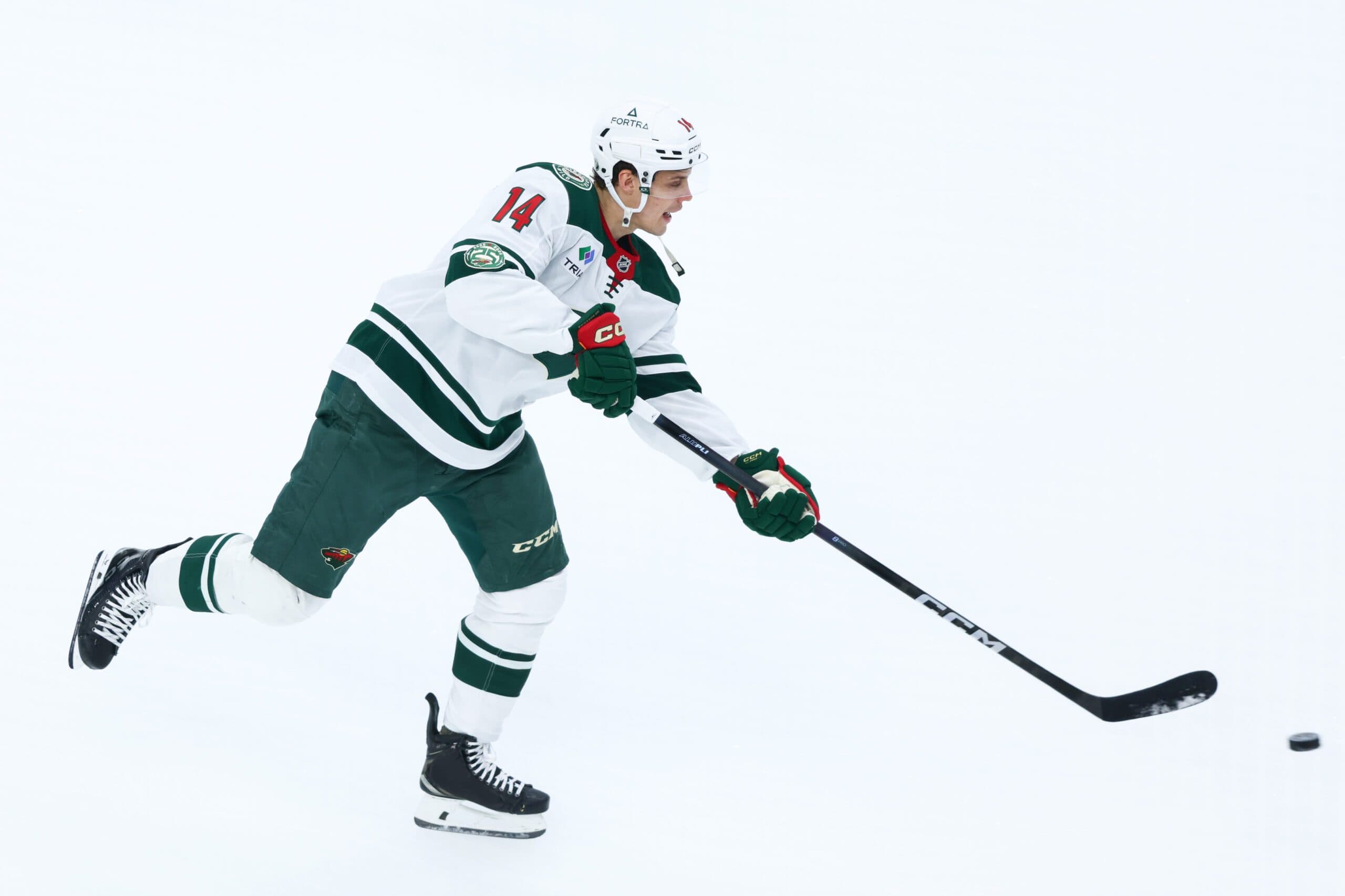 Wild activate Joel Eriksson Ek off injured reserve