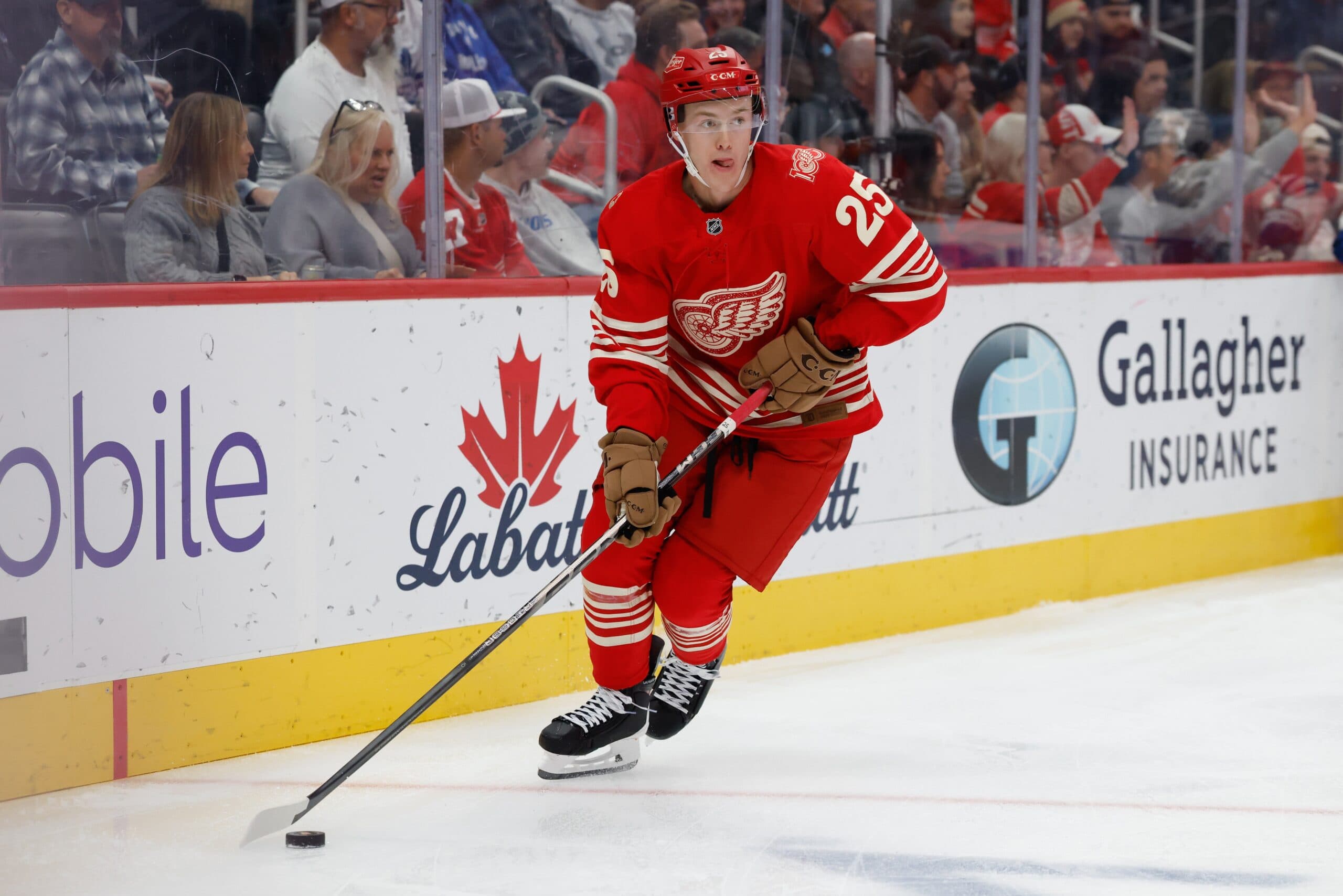 Red Wings sign Jacob Bernard-Docker to two-year extension