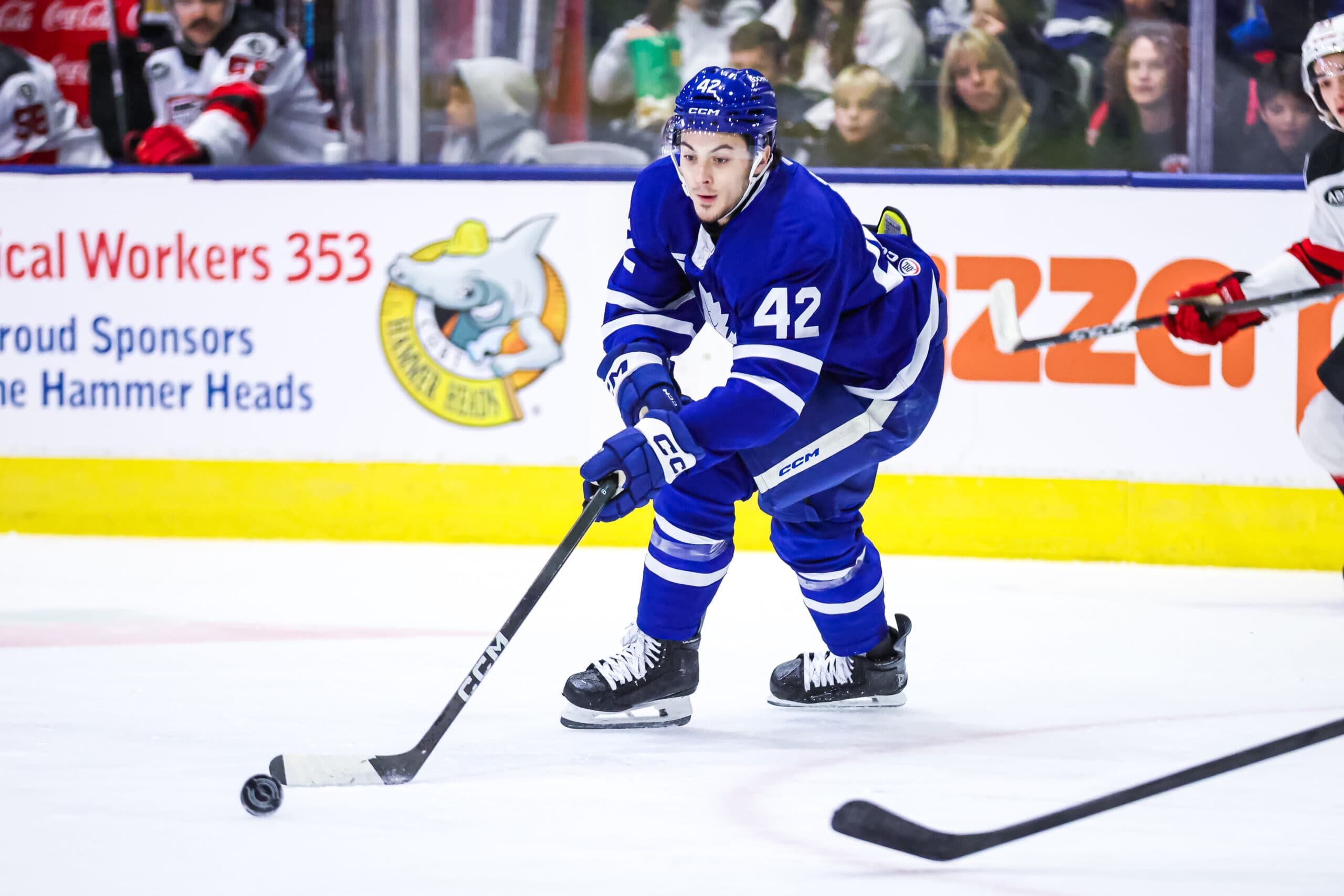 Toronto Marlies forward Landon Sim