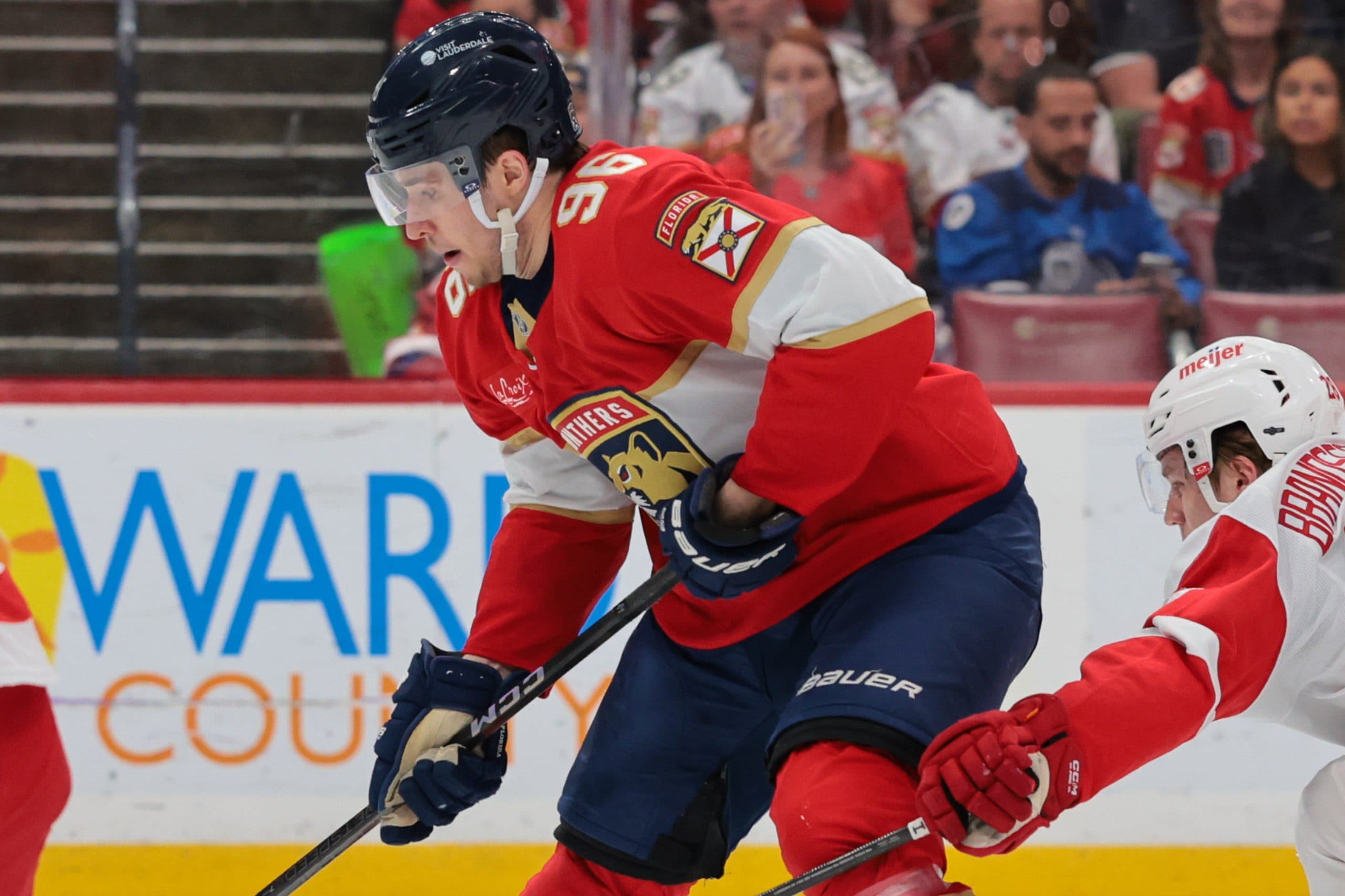 Panthers sign Mikulas Hovorka to one-year contract