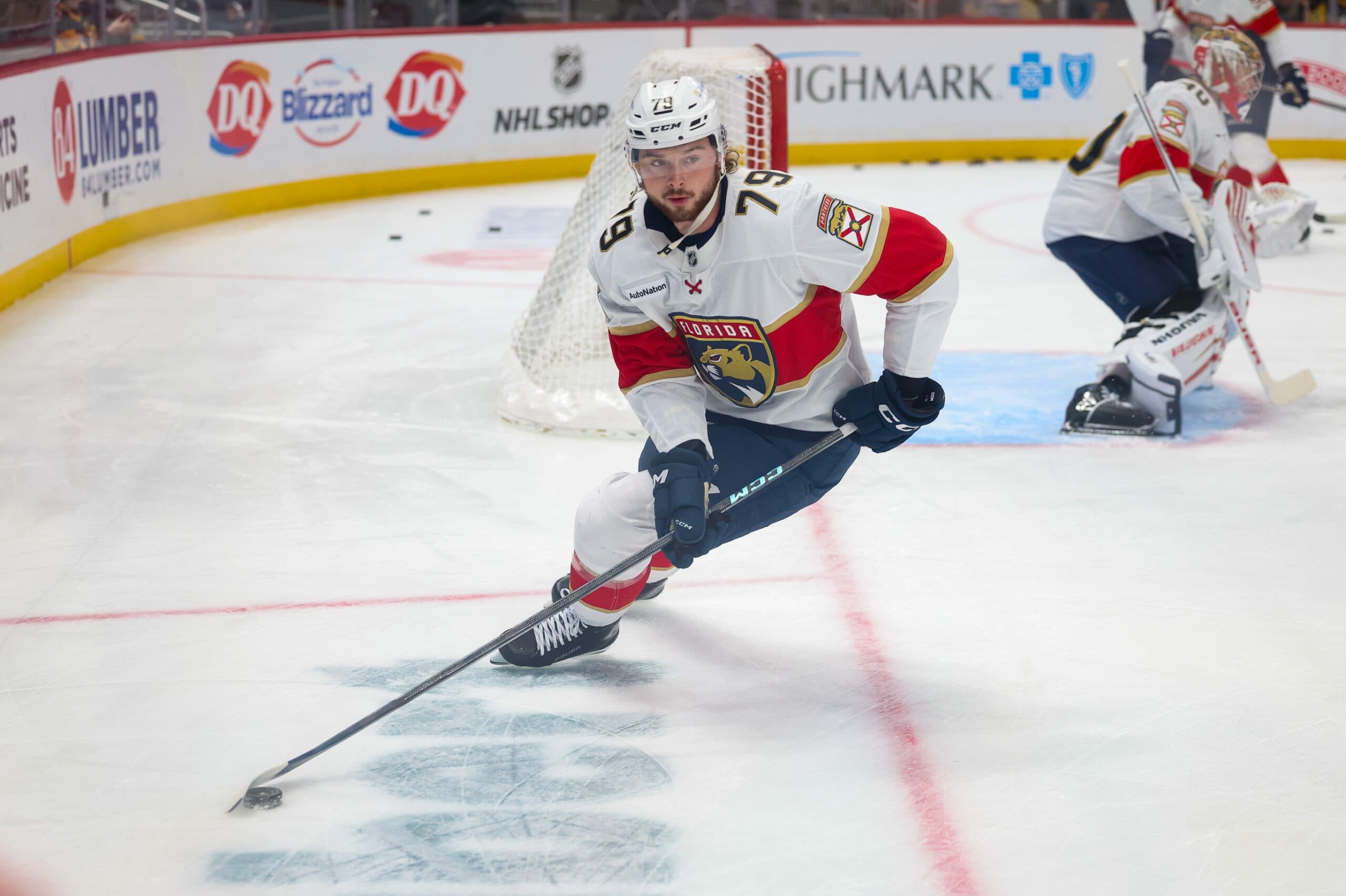 Schwindt, Petrovic among large group signed by Panthers
